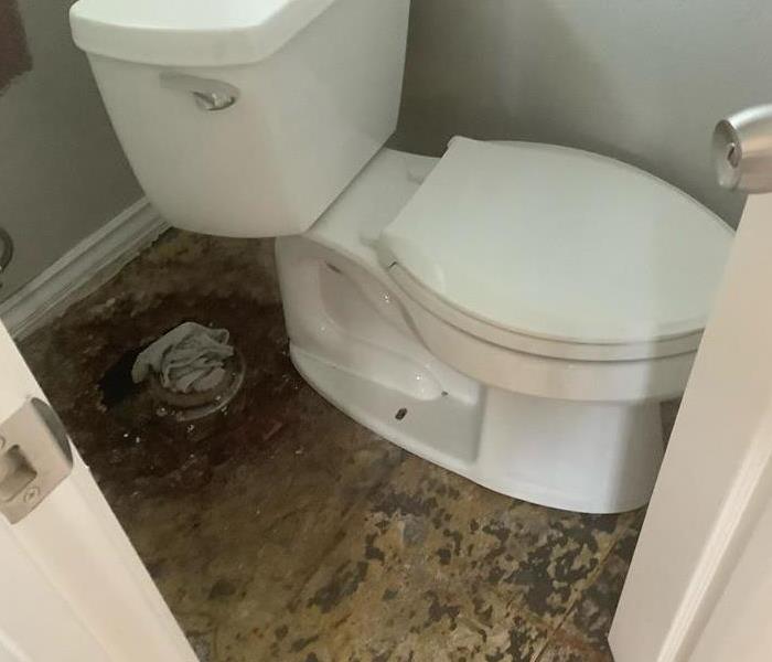 Picture of a toilet detached from plumbing system
