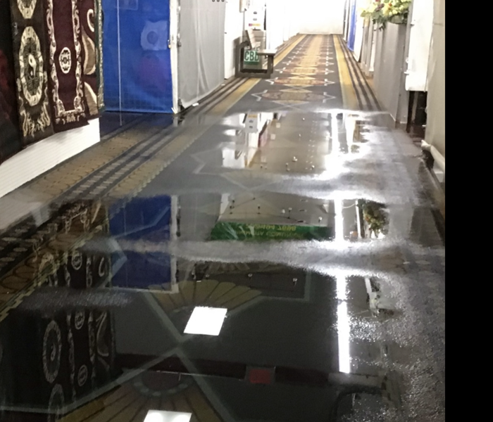 Gallons of standing water on the floor